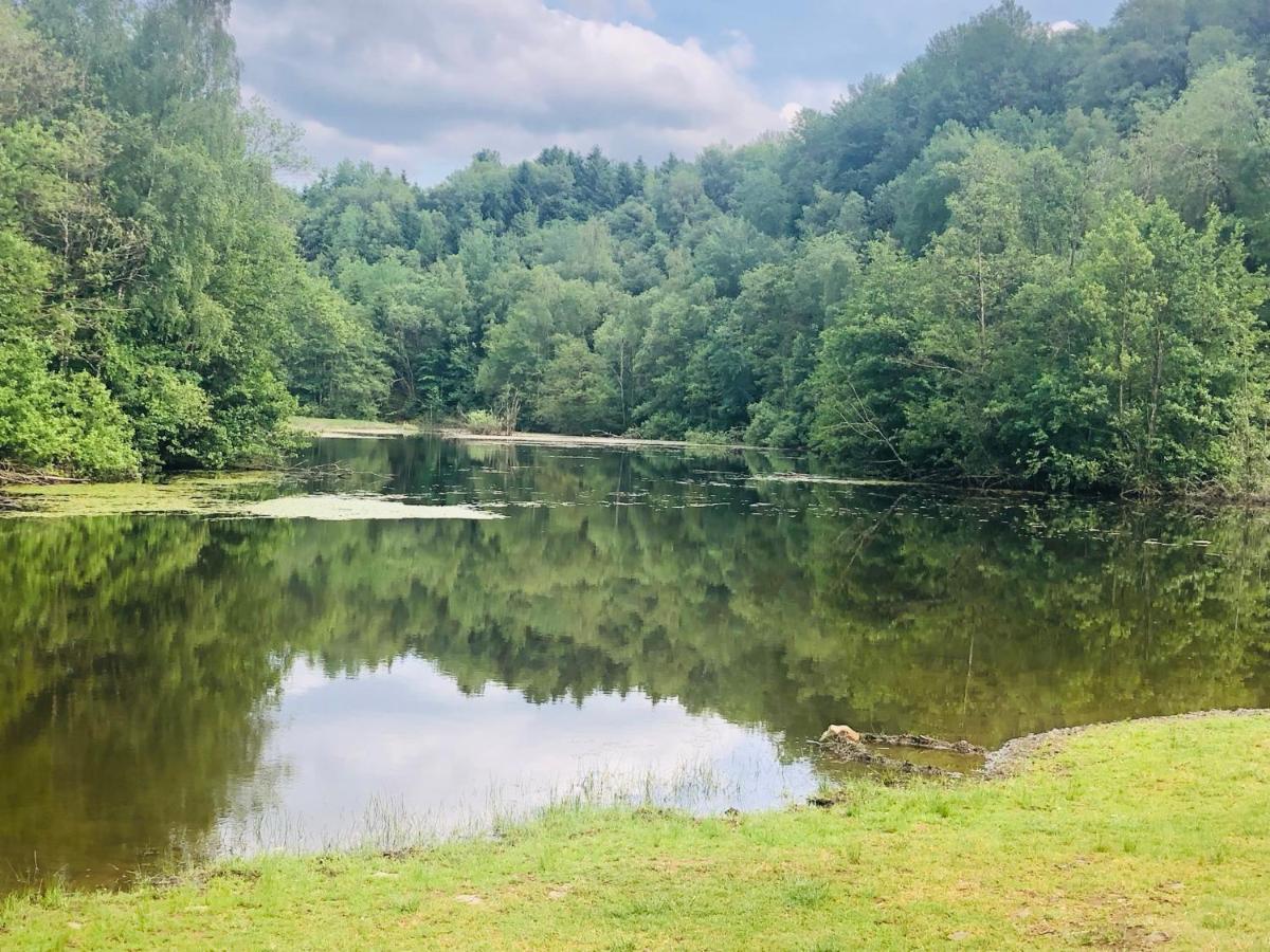 Gemuetliche Fewo Naehe Hachenburg, Bad Marienberg Lägenhet Langenbach bei Kirburg Exteriör bild