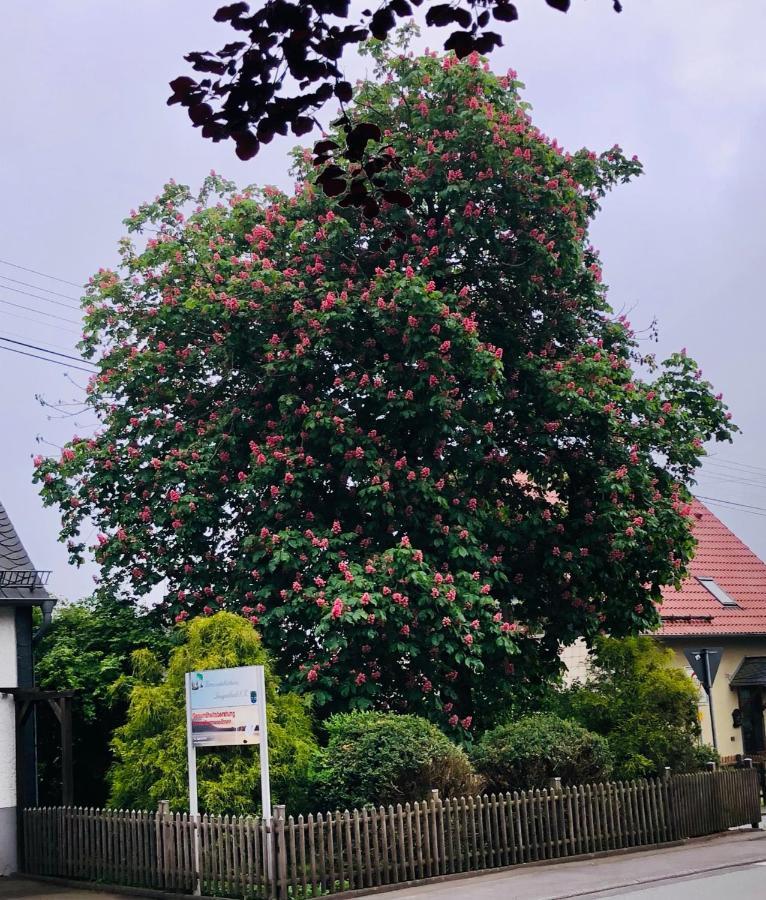 Gemuetliche Fewo Naehe Hachenburg, Bad Marienberg Lägenhet Langenbach bei Kirburg Exteriör bild